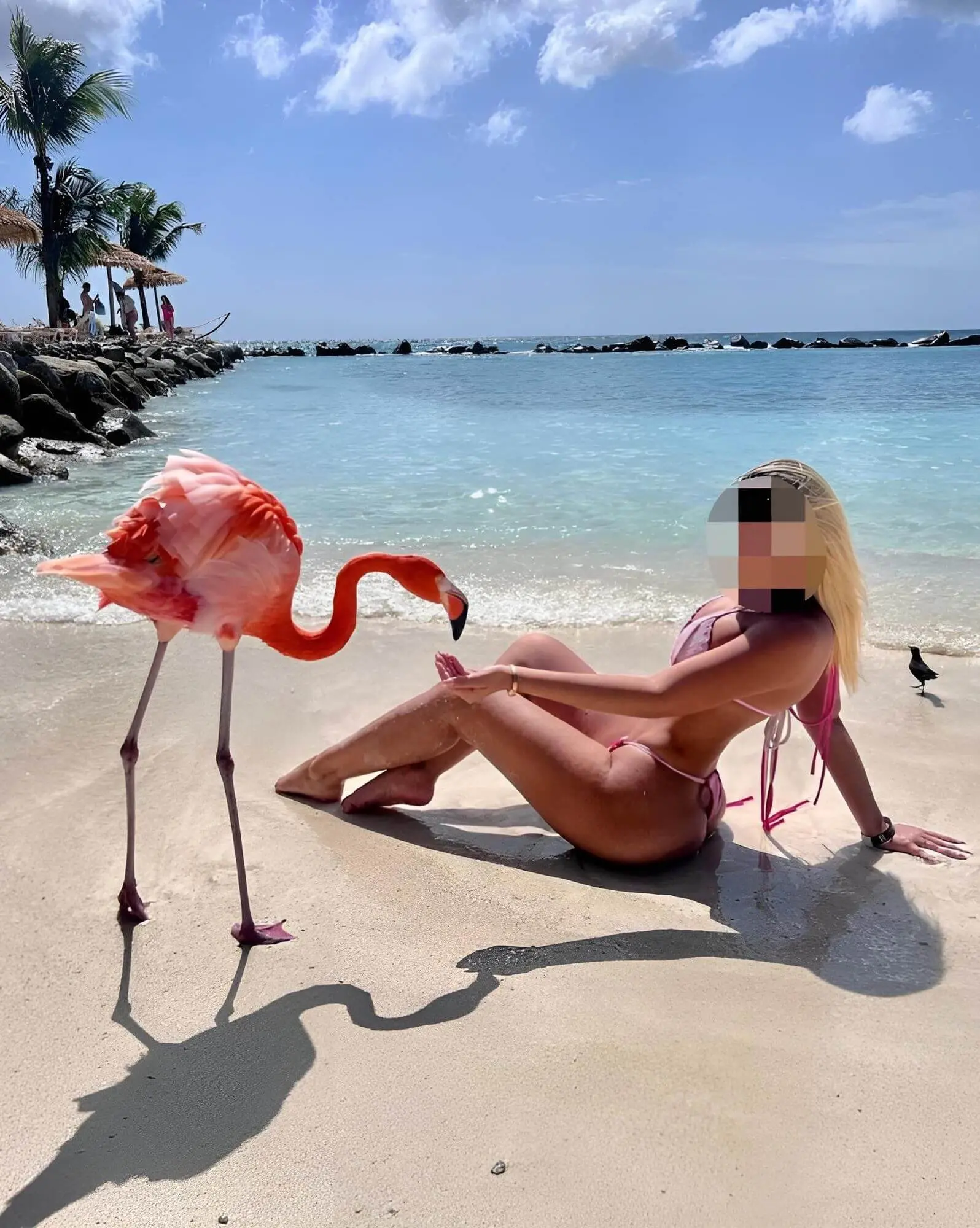 Valentina - Pleasures in Aruba Escorts